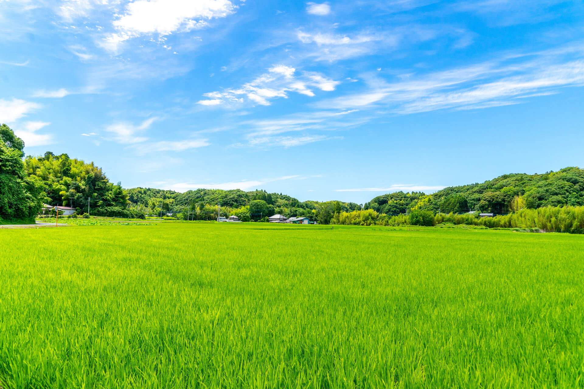 AdobeStock_283291658 (1) (1)